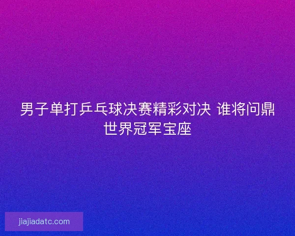 男子单打乒乓球决赛精彩对决 谁将问鼎世界冠军宝座