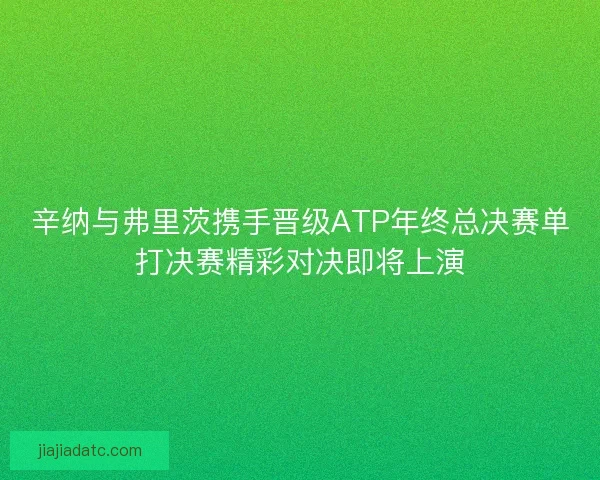 辛纳与弗里茨携手晋级ATP年终总决赛单打决赛精彩对决即将上演